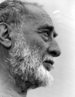 Mario Borgna